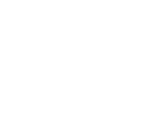 A Step Above Roofing Logo W