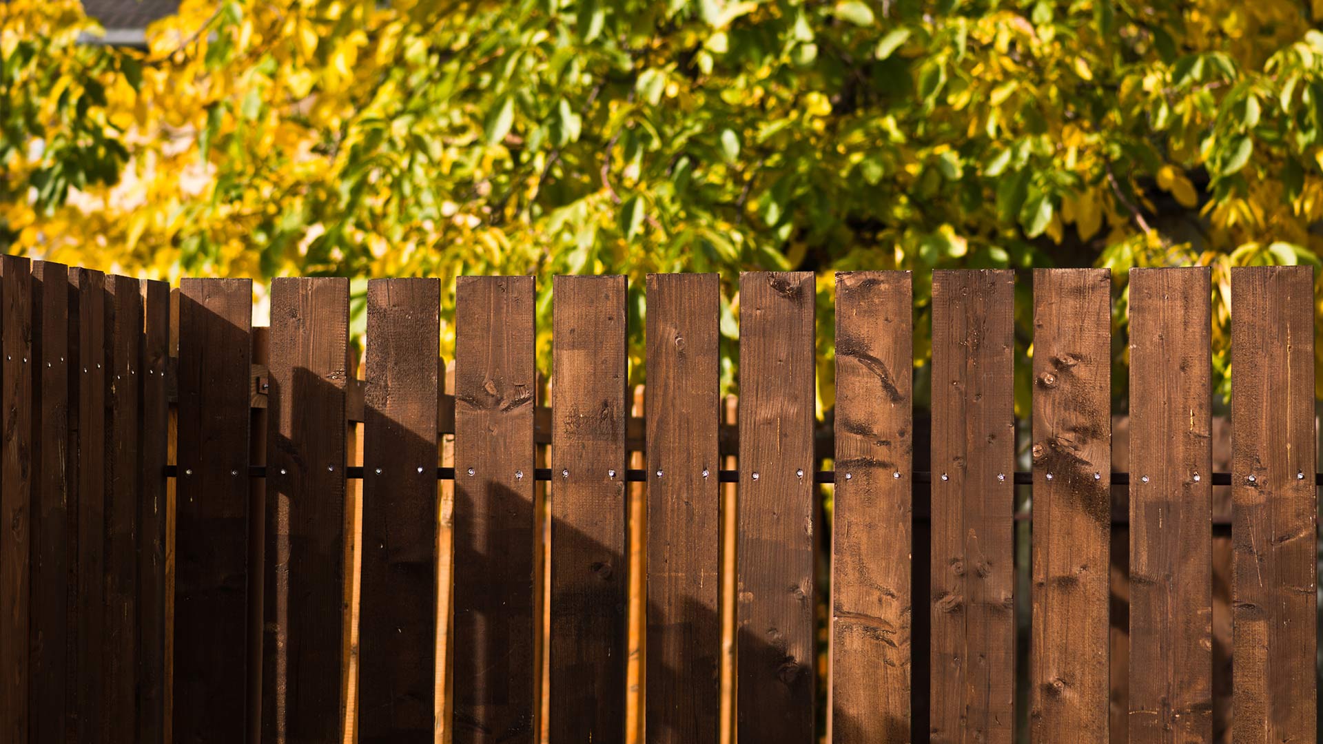 view of dark wood fence on sunny day baton rouge la